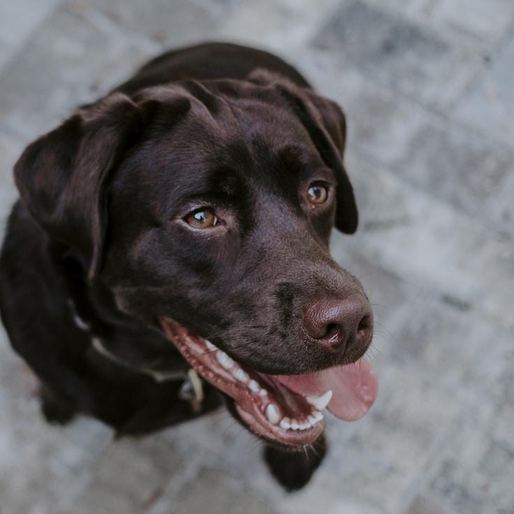 School environment for families in San Antonio, United States