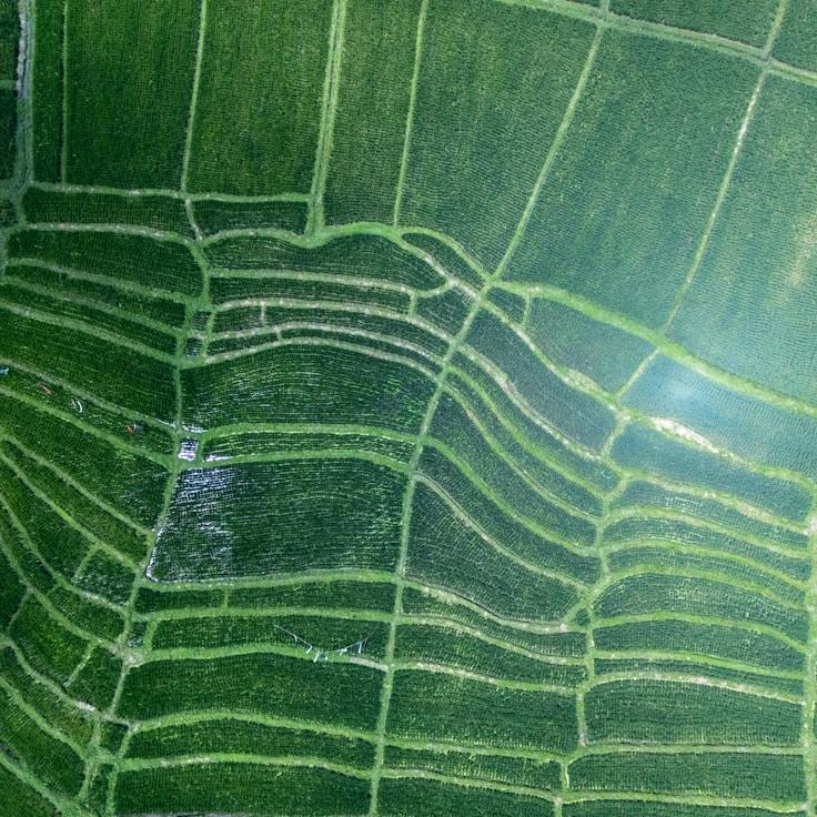 Entertainment zone at night in United States